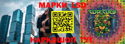 хмурый Краснознаменск