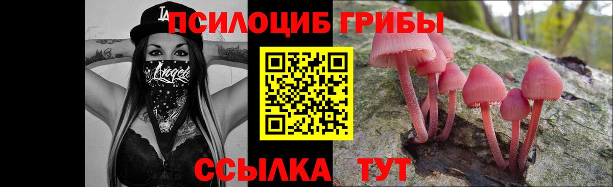 Псилоцибиновые грибы ЛСД  Вход с VPN  Псилоцибиновые грибы MAGIC MUSHROOMS  Касимов 